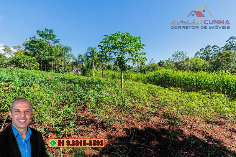 Chácara de 2.3 hectares à VENDA em Taquara - RS: 62ª foto da galeria de imagens do imóvel