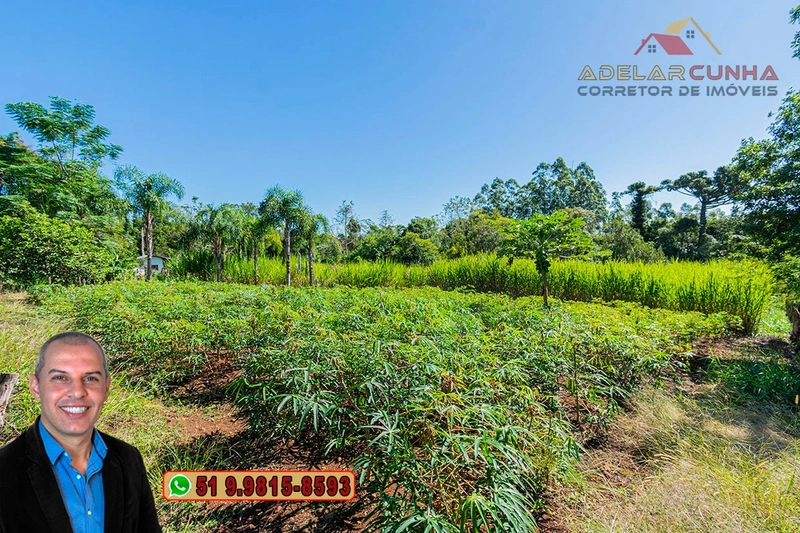Chácara de 2.3 hectares à VENDA em Taquara - RS: 61ª foto da galeria de imagens do imóvel
