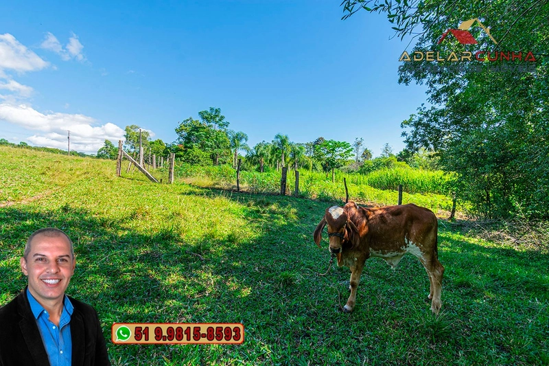 Chácara de 2.3 hectares à VENDA em Taquara - RS: 63ª foto da galeria de imagens do imóvel