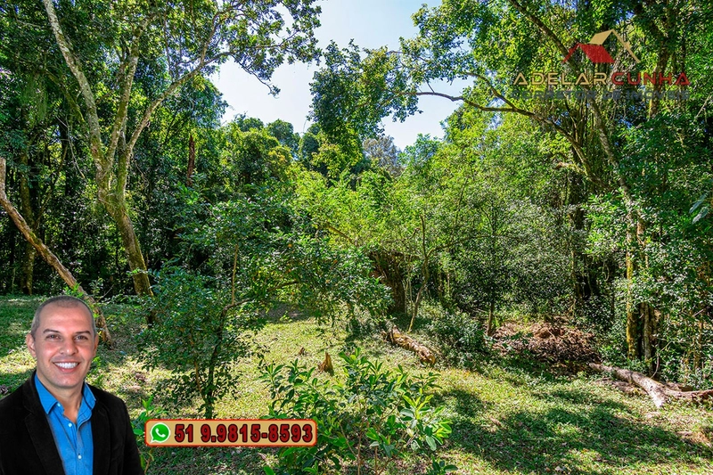 Chácara de 2.3 hectares à VENDA em Taquara - RS: 71ª foto da galeria de imagens do imóvel