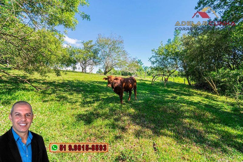 Chácara de 2.3 hectares à VENDA em Taquara - RS: 64ª foto da galeria de imagens do imóvel