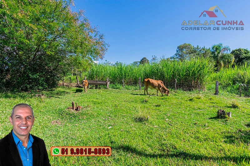 Chácara de 2.3 hectares à VENDA em Taquara - RS: 65ª foto da galeria de imagens do imóvel