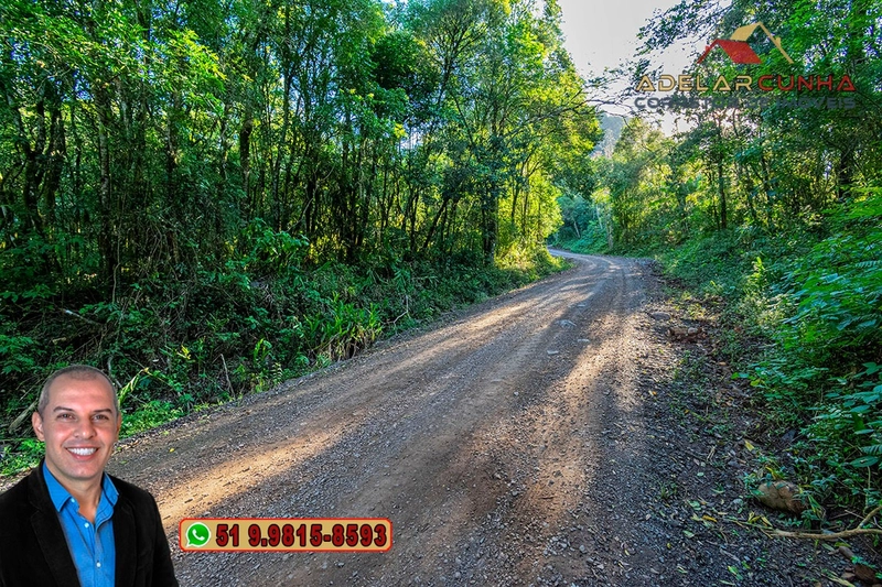 LOTE 01 - À VENDA: Chácara de 2.5 hectares em Gramado - RS: 36ª foto da galeria de imagens do imóvel