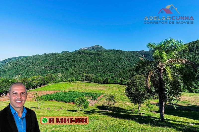 LOTE 01 - À VENDA: Chácara de 2.5 hectares em Gramado - RS: 1ª foto da galeria de imagens do imóvel