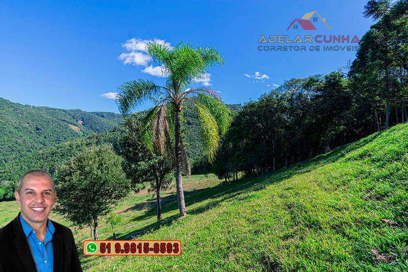 LOTE 01 - À VENDA: Chácara de 2.5 hectares em Gramado - RS: 16ª foto da galeria de imagens do imóvel