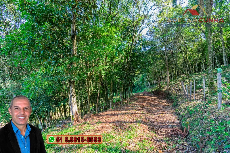 LOTE 01 - À VENDA: Chácara de 2.5 hectares em Gramado - RS: 7ª foto da galeria de imagens do imóvel