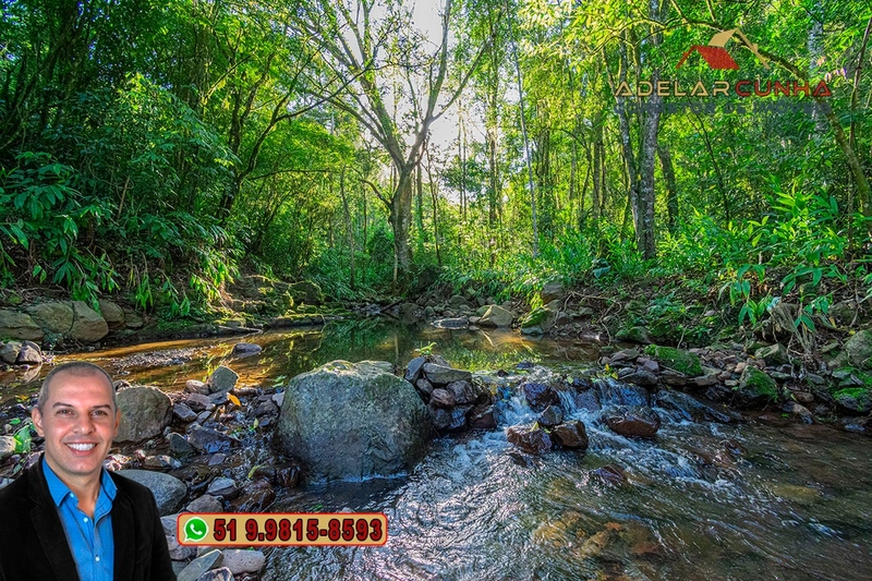 LOTE 01 - À VENDA: Chácara de 2.5 hectares em Gramado - RS: 42ª foto da galeria de imagens do imóvel