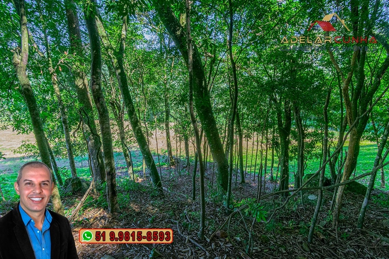 LOTE 01 - À VENDA: Chácara de 2.5 hectares em Gramado - RS: 14ª foto da galeria de imagens do imóvel