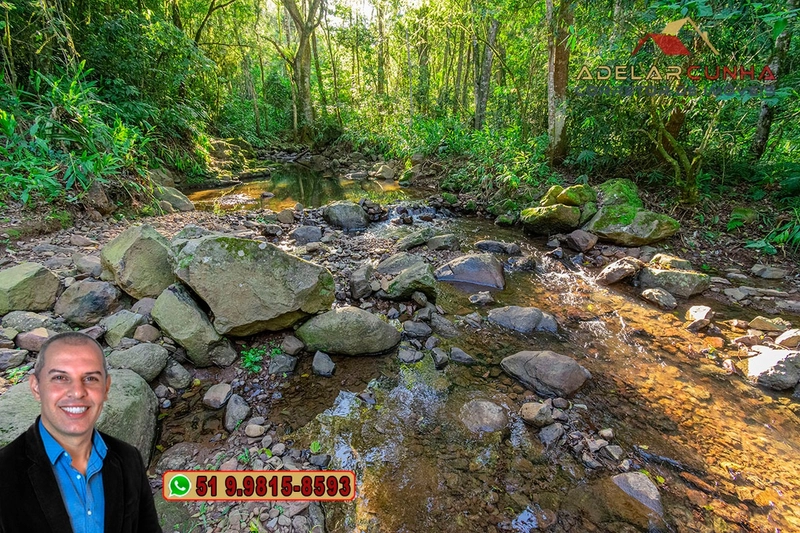 LOTE 01 - À VENDA: Chácara de 2.5 hectares em Gramado - RS: 37ª foto da galeria de imagens do imóvel