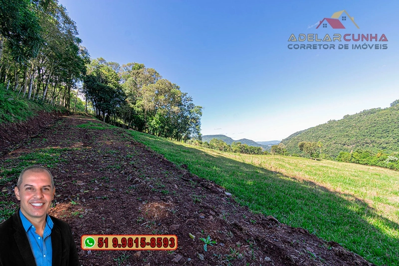 LOTE 01 - À VENDA: Chácara de 2.5 hectares em Gramado - RS: 11ª foto da galeria de imagens do imóvel