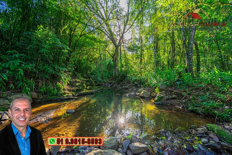 LOTE 01 - À VENDA: Chácara de 2.5 hectares em Gramado - RS: 40ª foto da galeria de imagens do imóvel