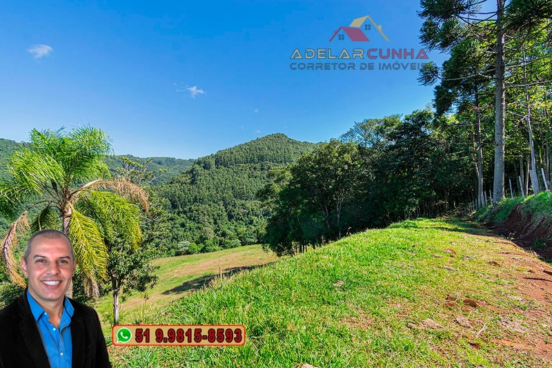 LOTE 01 - À VENDA: Chácara de 2.5 hectares em Gramado - RS: 6ª foto da galeria de imagens do imóvel