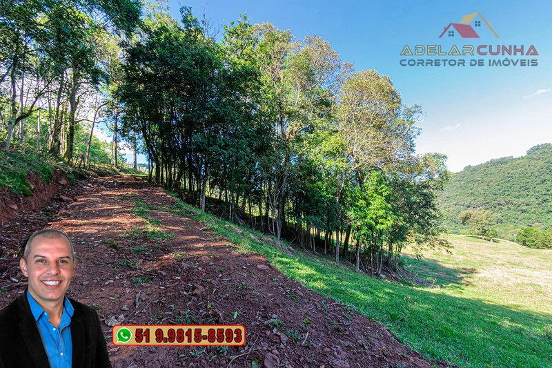 LOTE 01 - À VENDA: Chácara de 2.5 hectares em Gramado - RS: 8ª foto da galeria de imagens do imóvel