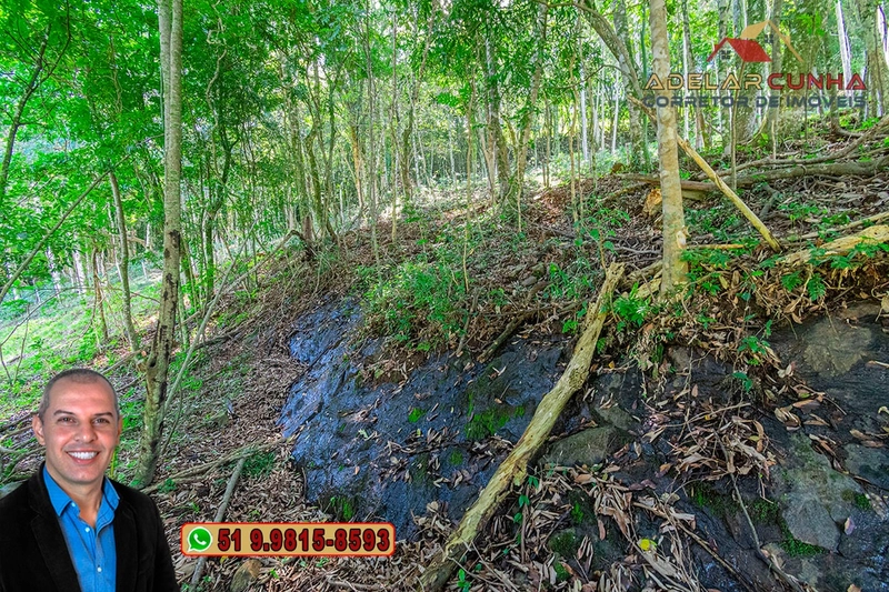LOTE 01 - À VENDA: Chácara de 2.5 hectares em Gramado - RS: 15ª foto da galeria de imagens do imóvel