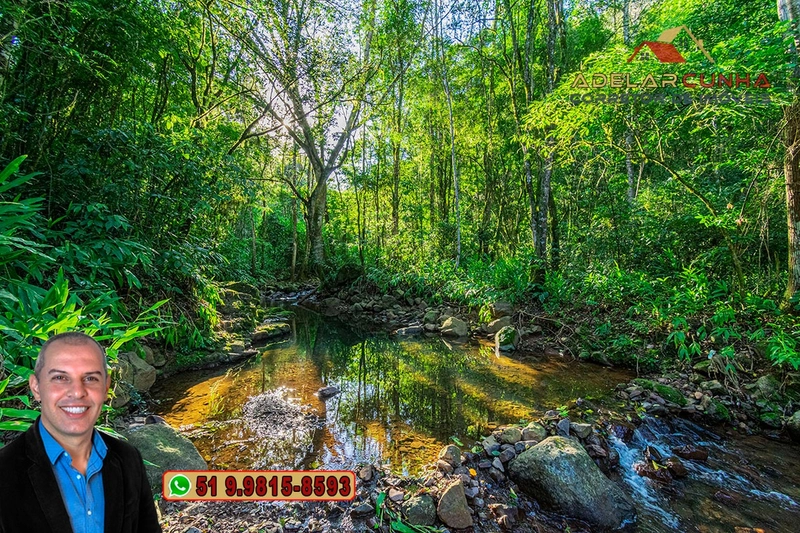 LOTE 01 - À VENDA: Chácara de 2.5 hectares em Gramado - RS: 43ª foto da galeria de imagens do imóvel