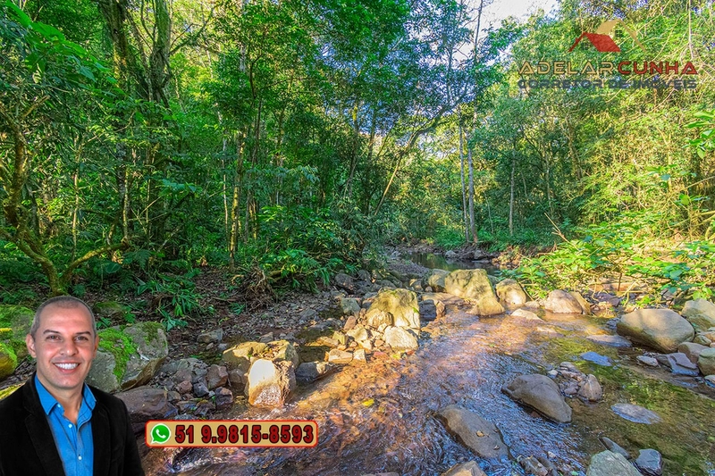 LOTE 01 - À VENDA: Chácara de 2.5 hectares em Gramado - RS: 41ª foto da galeria de imagens do imóvel
