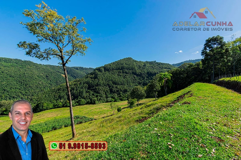 LOTE 02: Chácara de 2.5 hectares com Riacho, À VENDA em Gramado – RS: 7ª foto da galeria de imagens do imóvel