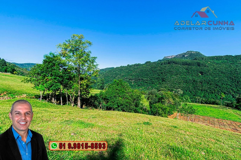 LOTE 02: Chácara de 2.5 hectares com Riacho, À VENDA em Gramado – RS: 5ª foto da galeria de imagens do imóvel