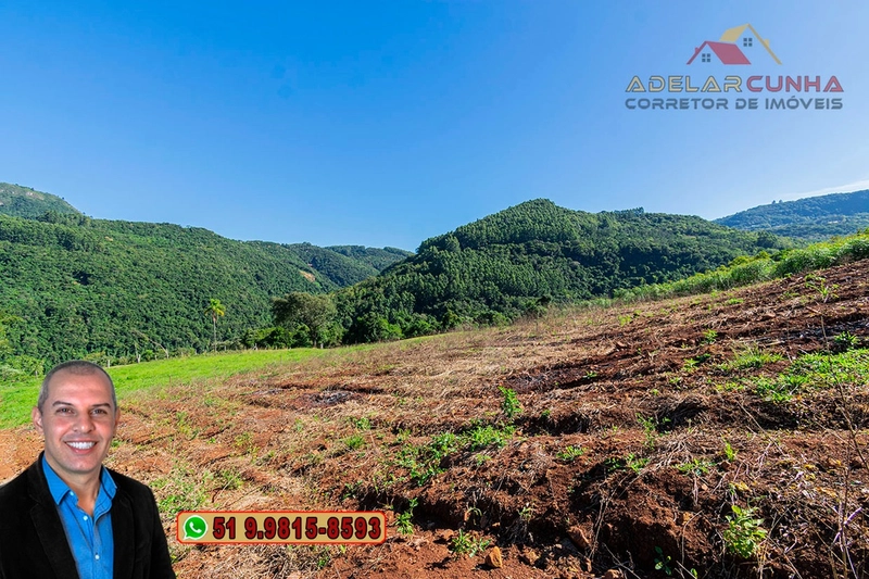 LOTE 02: Chácara de 2.5 hectares com Riacho, À VENDA em Gramado – RS: 17ª foto da galeria de imagens do imóvel