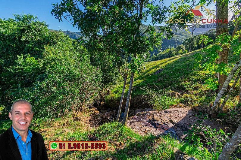LOTE 03: Chácara de 3.5 hectares com Riacho, À VENDA em Gramado – RS: 11ª foto da galeria de imagens do imóvel