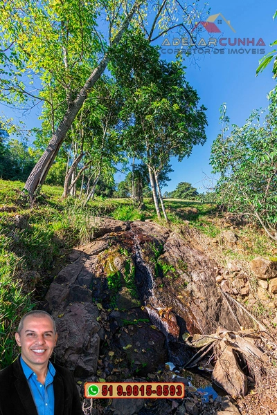 LOTE 03: Chácara de 3.5 hectares com Riacho, À VENDA em Gramado – RS: 13ª foto da galeria de imagens do imóvel