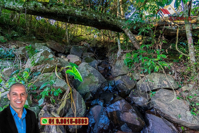 LOTE 03: Chácara de 3.5 hectares com Riacho, À VENDA em Gramado – RS: 28ª foto da galeria de imagens do imóvel