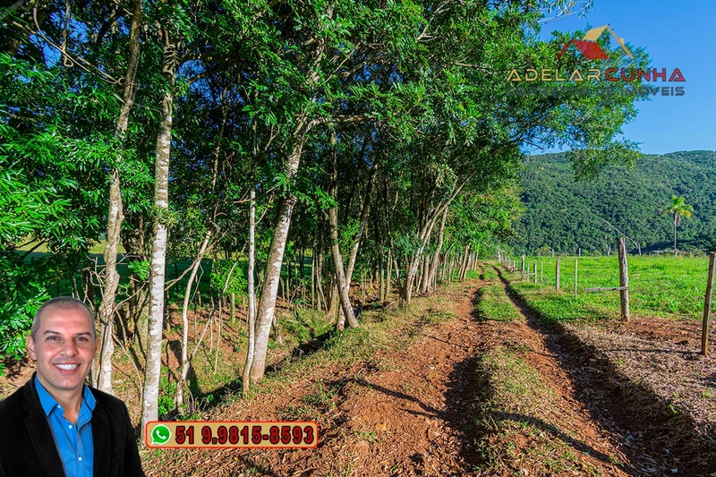 LOTE 03: Chácara de 3.5 hectares com Riacho, À VENDA em Gramado – RS: 23ª foto da galeria de imagens do imóvel