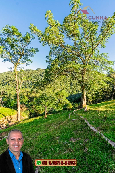 LOTE 03: Chácara de 3.5 hectares com Riacho, À VENDA em Gramado – RS: 30ª foto da galeria de imagens do imóvel