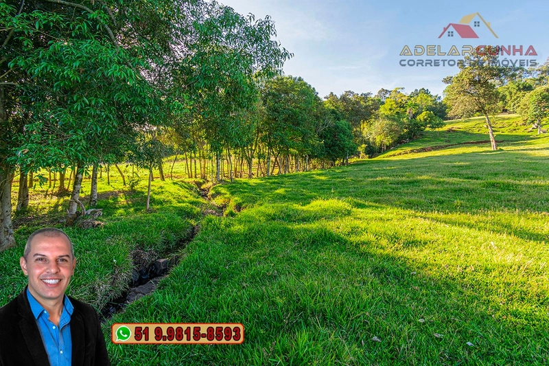 LOTE 03: Chácara de 3.5 hectares com Riacho, À VENDA em Gramado – RS: 24ª foto da galeria de imagens do imóvel