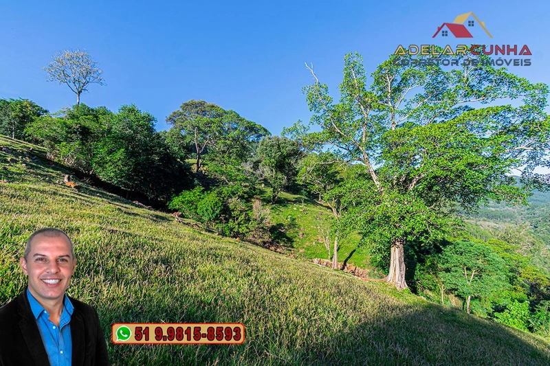 LOTE 03: Chácara de 3.5 hectares com Riacho, À VENDA em Gramado – RS: 27ª foto da galeria de imagens do imóvel