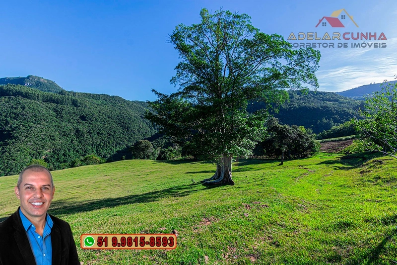 LOTE 03: Chácara de 3.5 hectares com Riacho, À VENDA em Gramado – RS: 19ª foto da galeria de imagens do imóvel