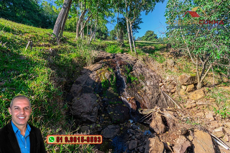 LOTE 03: Chácara de 3.5 hectares com Riacho, À VENDA em Gramado – RS: 12ª foto da galeria de imagens do imóvel