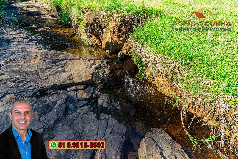 LOTE 03: Chácara de 3.5 hectares com Riacho, À VENDA em Gramado – RS: 10ª foto da galeria de imagens do imóvel