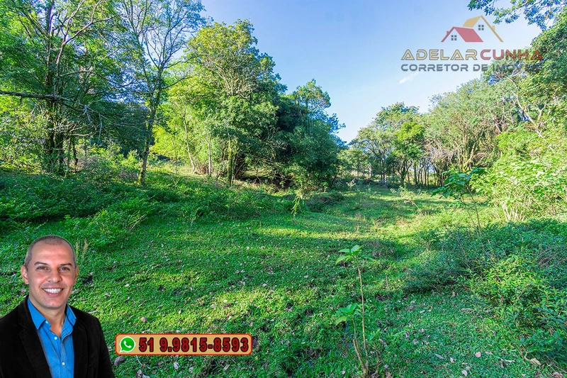 Chácara de 2 hectares à VENDA em Três Coroas - RS: 8ª foto da galeria de imagens do imóvel