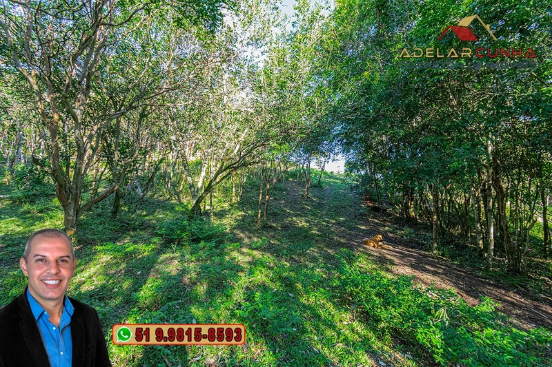 Chácara de 3 hectares à VENDA em Araricá - RS: 47ª foto da galeria de imagens do imóvel