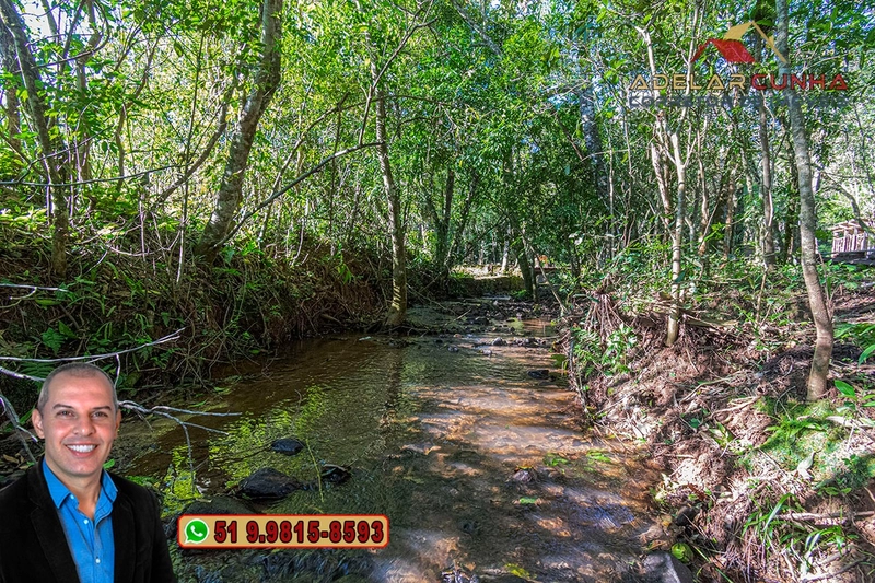 Chácara de 3 hectares à VENDA em Araricá - RS: 42ª foto da galeria de imagens do imóvel