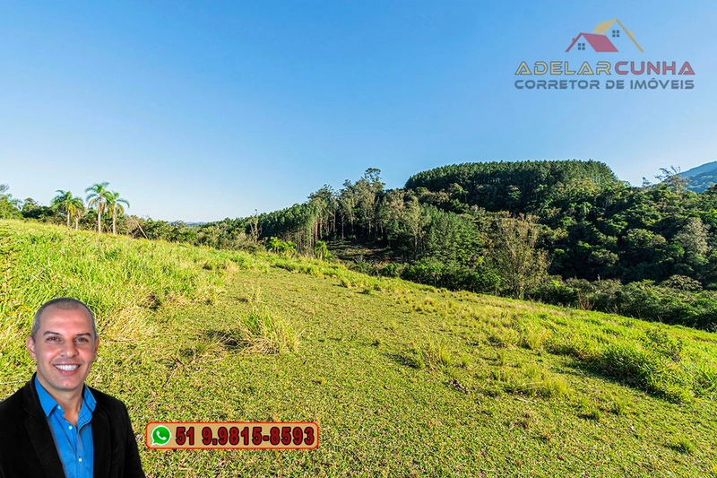 Chácara de 3 hectares à VENDA em Araricá - RS: 65ª foto da galeria de imagens do imóvel
