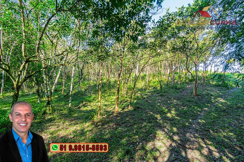 Chácara de 3 hectares à VENDA em Araricá - RS: 48ª foto da galeria de imagens do imóvel
