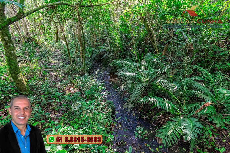 Chácara de 3 hectares à VENDA em Araricá - RS: 56ª foto da galeria de imagens do imóvel