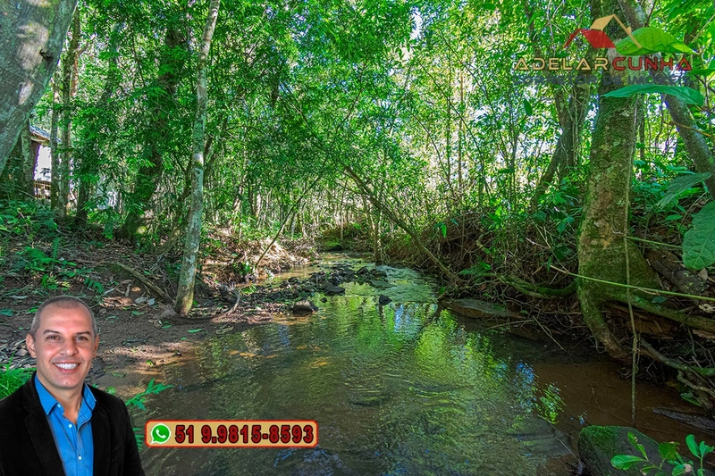 Chácara de 3 hectares à VENDA em Araricá - RS: 41ª foto da galeria de imagens do imóvel