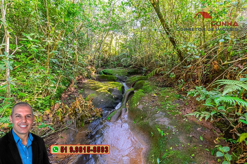Chácara de 3 hectares à VENDA em Araricá - RS: 43ª foto da galeria de imagens do imóvel