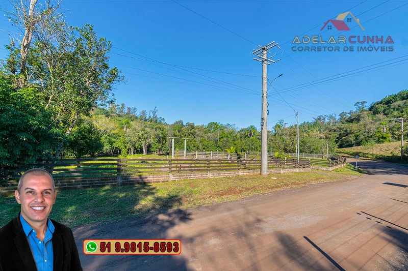 Chácara de 3 hectares à VENDA em Araricá - RS: 3ª foto da galeria de imagens do imóvel