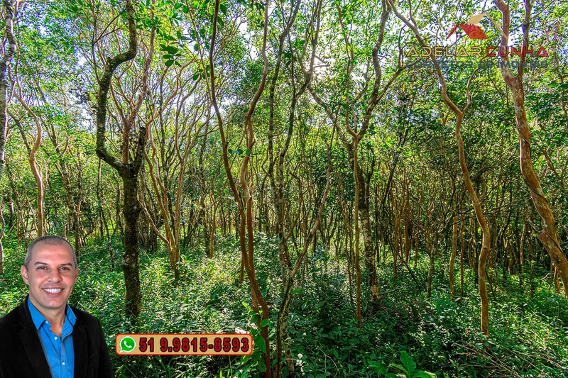Chácara de 3 hectares à VENDA em Araricá - RS: 55ª foto da galeria de imagens do imóvel