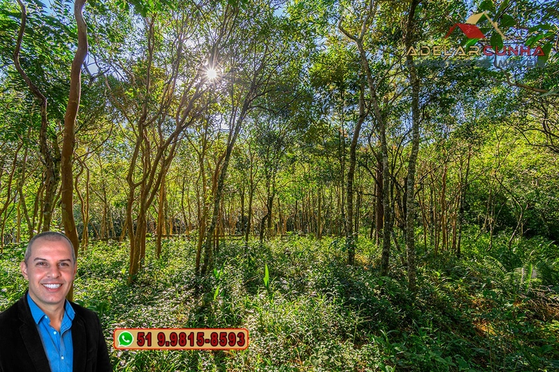 Chácara de 3 hectares à VENDA em Araricá - RS: 54ª foto da galeria de imagens do imóvel