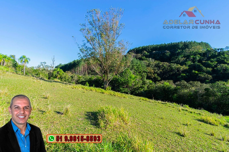Chácara de 3 hectares à VENDA em Araricá - RS: 59ª foto da galeria de imagens do imóvel