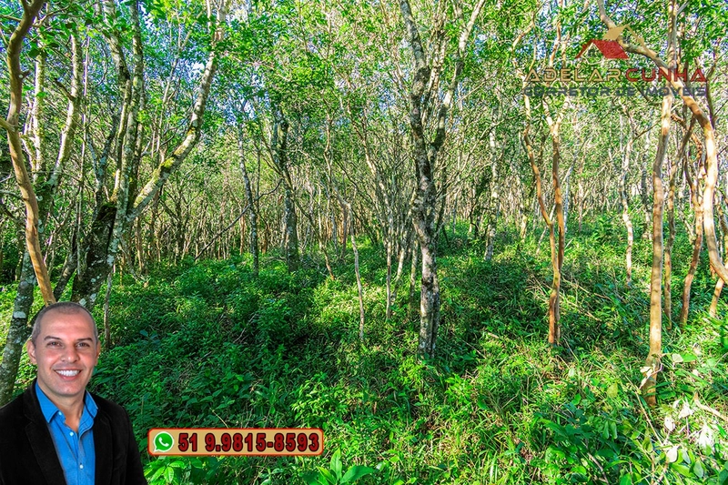 Chácara de 3 hectares à VENDA em Araricá - RS: 53ª foto da galeria de imagens do imóvel