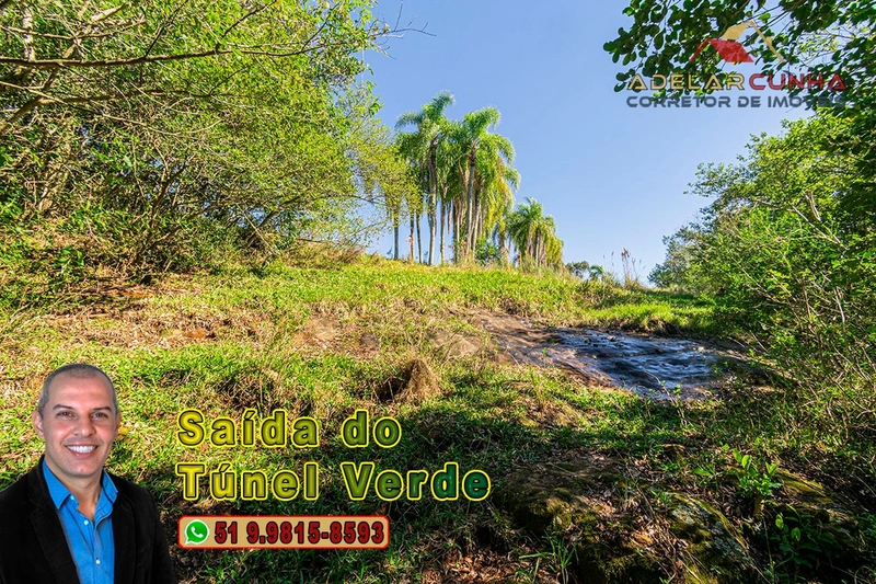 Chácara com 4.8 hectares à VENDA em Lomba Grande - Novo Hamburgo - RS: 10ª foto da galeria de imagens do imóvel