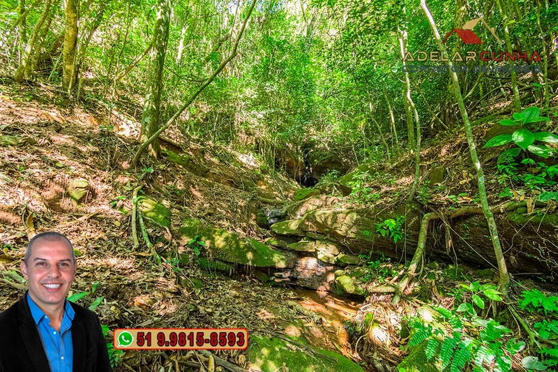Chácara com 4.8 hectares à VENDA em Lomba Grande - Novo Hamburgo - RS: 30ª foto da galeria de imagens do imóvel