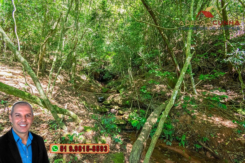 Chácara com 4.8 hectares à VENDA em Lomba Grande - Novo Hamburgo - RS: 29ª foto da galeria de imagens do imóvel
