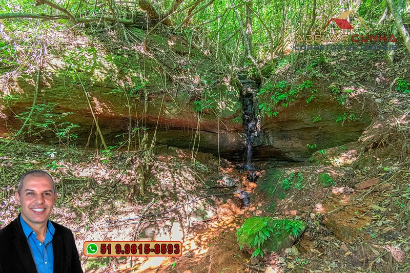 Chácara com 4.8 hectares à VENDA em Lomba Grande - Novo Hamburgo - RS: 32ª foto da galeria de imagens do imóvel